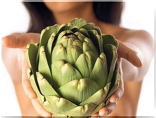 artichoke