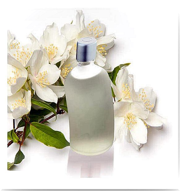 jasmine oil