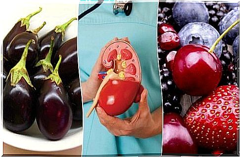 8 foods that will improve your kidney health