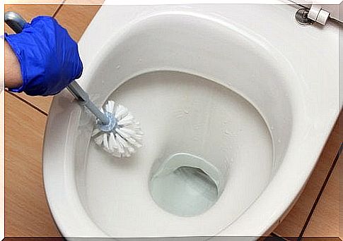 Using borax as a cleaning agent