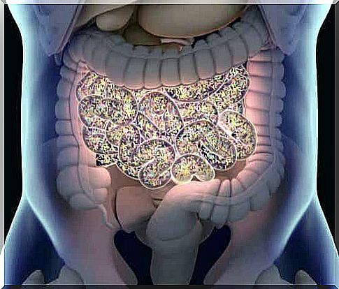 illustration of intestinal microbiota