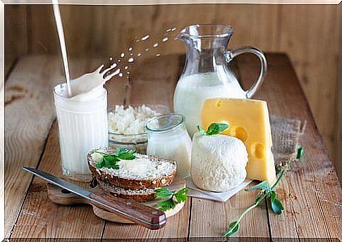 dairy products