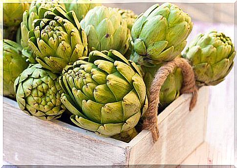 Discover the benefits of artichoke water