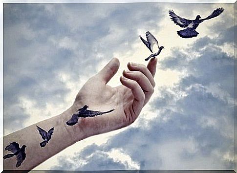 birds fly by hand