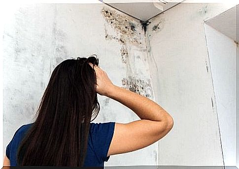 Four solutions to get rid of mold in your bathroom