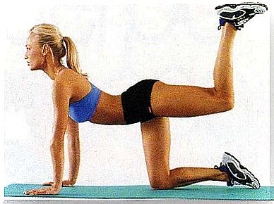 hip exercises