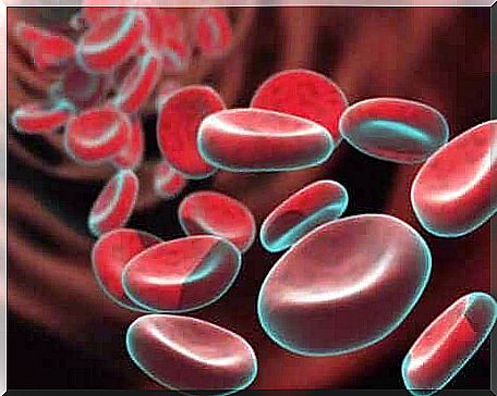 If you are anemic, your body lacks red blood cells. 