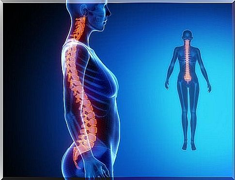 Neck and back pain