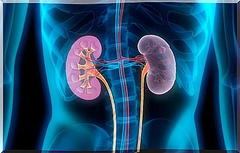 Read about 5 important signs of kidney problems