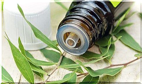 tea tree oil