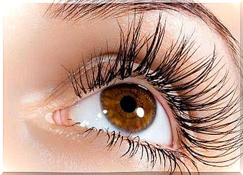 Tips and tricks for perfect eyelashes