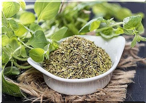 oregano