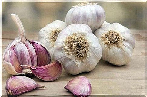 garlic against amoebiasis