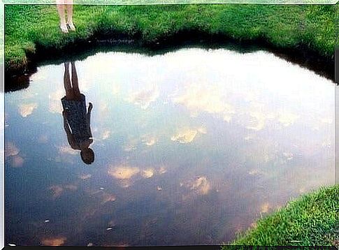 reflection in water